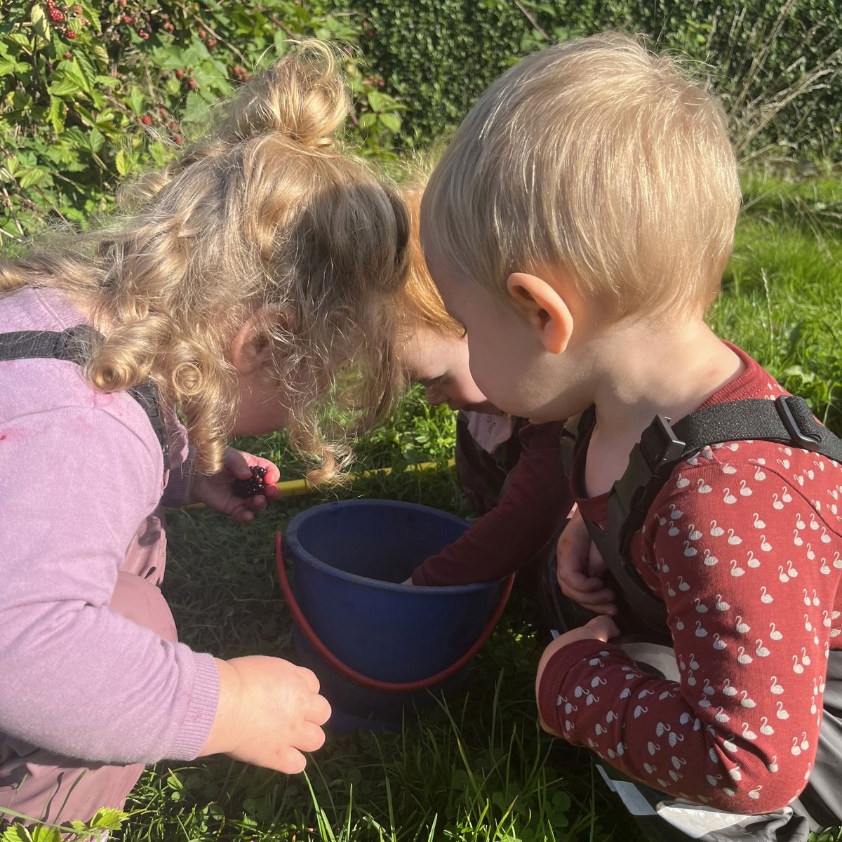 Børn samler bær i Børnehuset Svalereden