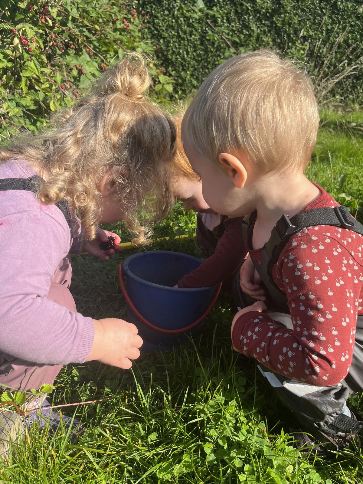 Børn samler bær i Børnehuset Svalereden