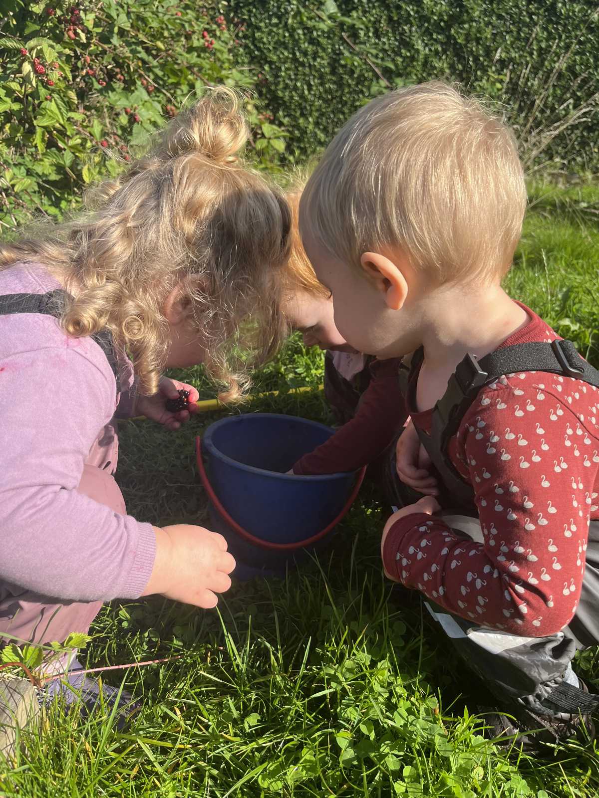 Børn samler bær i Børnehuset Svalereden