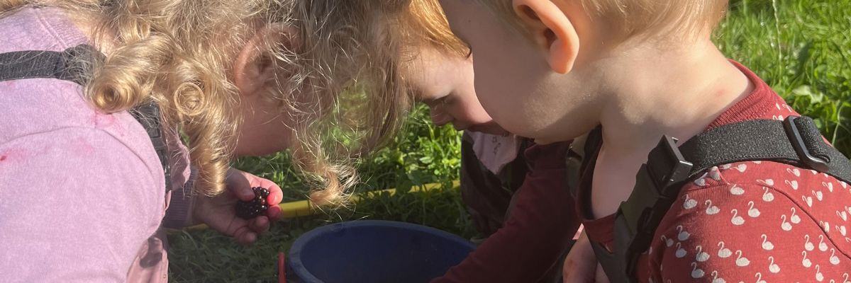 Børn samler bær i Børnehuset Svalereden
