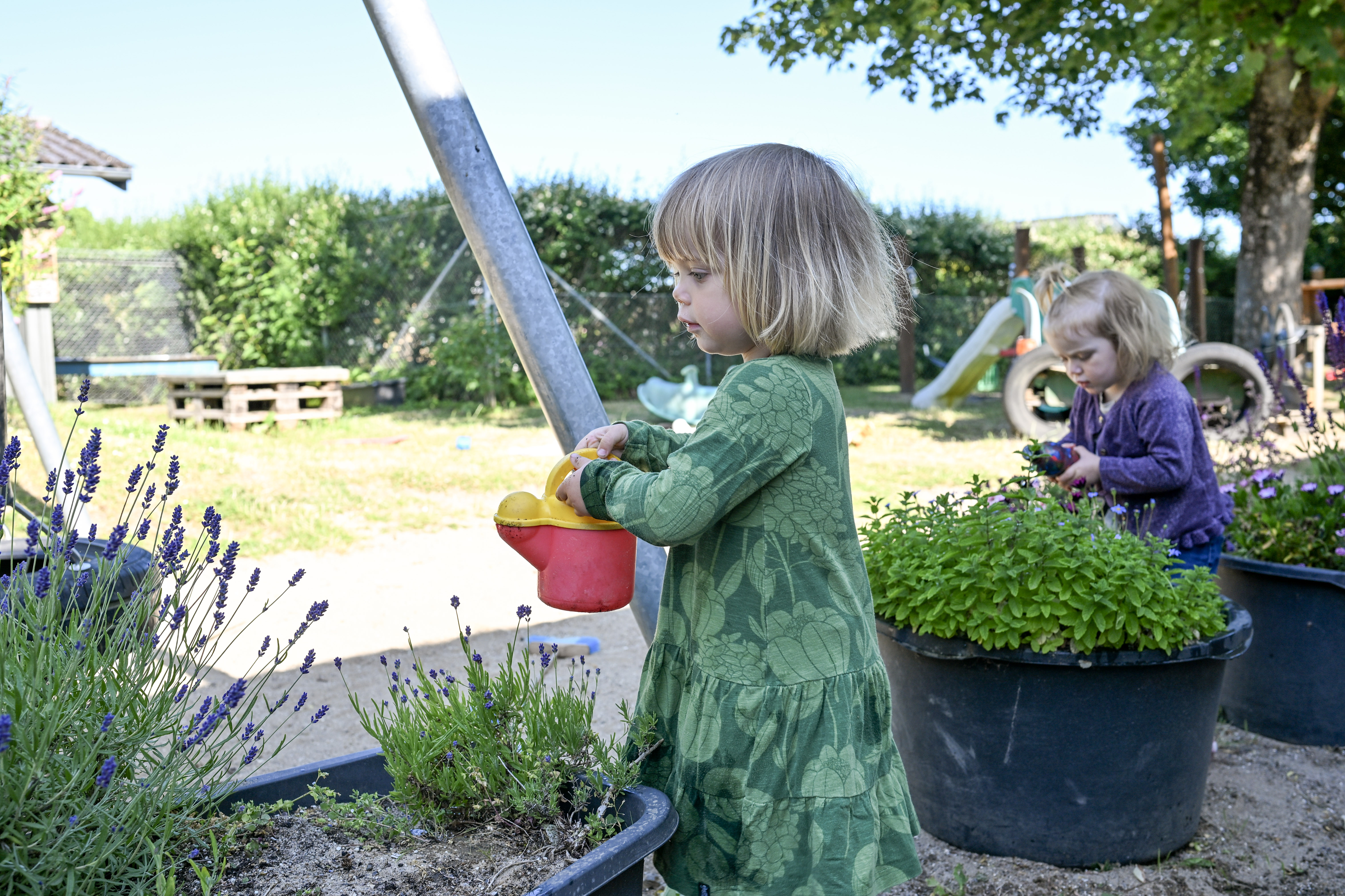 Børn vander planter