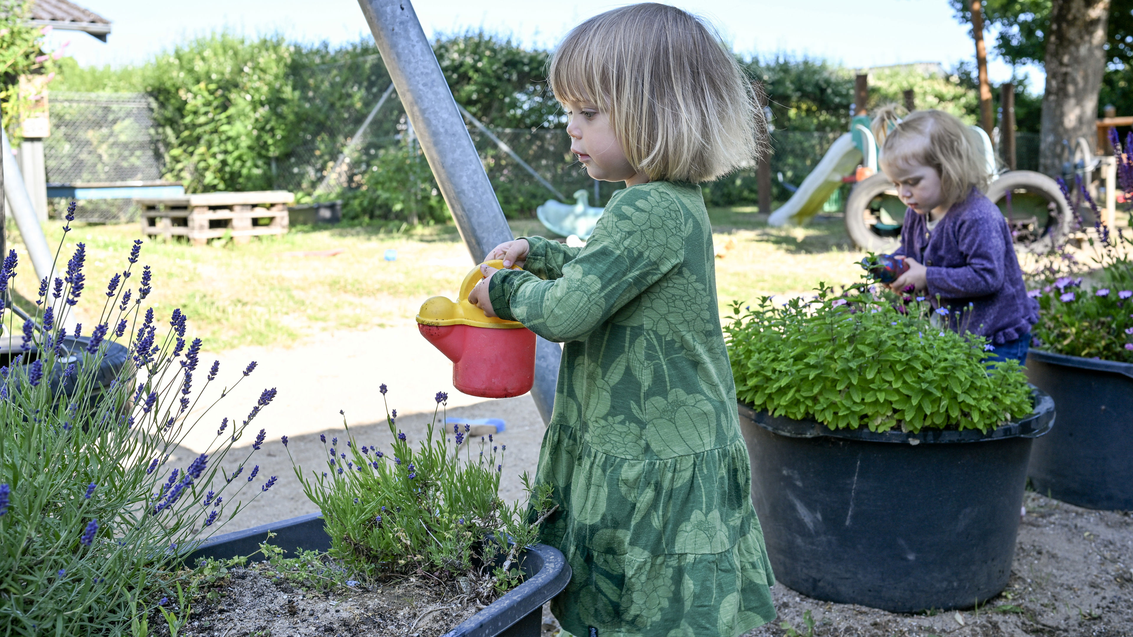 Børn vander planter